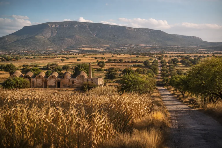 Imagen representativa generada con IA de los campos y haciendas de El Llano